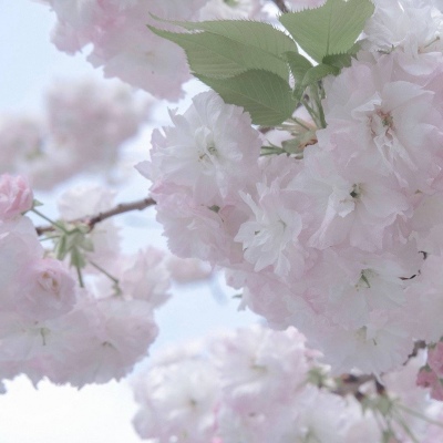 介休FurryQQ群介绍